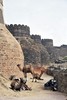 Festung Kumbalgarh im Aravalli-Gebirge