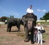 Bei den königlichen Elefanten, Mysore Palast
