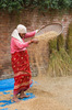 Bhaktapur Reisernte