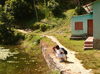 am Begnas-Lake, Nepal