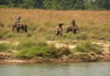 Am Rapti-River, Chitwan, Nepal