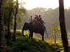 Elefantenritt im Chitwan-Nationalpark, Nepal