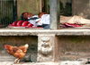 Bhaktapur, ein Schläfchen in Ehren...