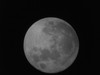 Mond 20090410 erster Versuch eines Astrofotos dur...