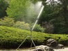 Glück gehabt Bewässerung im Japanischen Garten in...