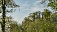 Burg Blankenberg