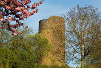 Burg Blankenberg