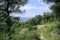 Limenas / Thassos