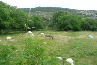 Landschaft am Bergdorf Theologos /Thassos