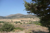 Naxos Landschaft bei Sangri in der Nähe des Demete...