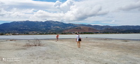 Am Aliki Salzsee bei Tigaki, Insel Kos