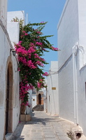 Gasse im Dorf Lindos, dem schönsten Ort von Rhodos