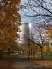 Herbsttower  Der Ausschnitt ist ein wenig ungünsti...