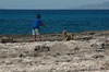 Kind mit Hund am Meer in Kardamili