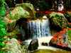 Wasserfall psychedelisch Japanischer Garten 