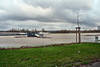 hochwasser,beuel 07.01.2012