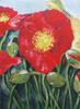 Mohn Acryl auf Pappe, 40x50 cm Monika Hauke, Febru...