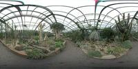 Im Sukkulentenhaus (1) Botanischer Garten Bonn