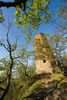 Turm auf dem Krausberg