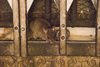 Ratte im Karni-Mata-Tempel