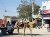 Junagarh-Fort, Bikaner