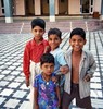 Kinder im Karni Mati-Tempel, Deshnoke