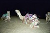 Khuri-Dünen, Nachts in der Wüste