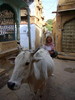 In den Gassen der Festung von Jaisalmer