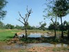 Landwirtschaft zwischen Thanjavur und Tiruchirapal...