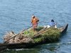 Backwaters Kerala