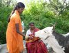 Chamundi-Hills, Mysore, Karnataka