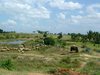Unterwegs nach Mysore