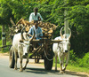 /Holztransport auf dem Weg nach Chidambaram