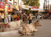 Varanasi