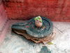 Varanasi, Shiva-Lingam