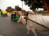 Old-Delhi