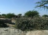 Rajasthan Unterwegs zum Sadar Samand Lake, 66 km v...