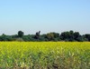 Rajasthan Unterwegs zum Sadar Samand Lake, 66 km v...