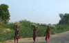 Rajasthan Unterwegs von Jodhpur nach Ranakpur Win...