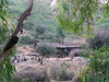 Ranakpur  Rajasthan 2012