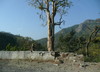 Durch die Aravalli Hills von Ranakpur nach Udaipur...