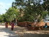 Udaipur, Shilpgram-Village Rajasthan 2012