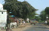 Unterwegs nach Bundi Rajasthan 2012