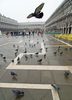 Markusplatz im Regen