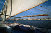 Im Sun-Boat auf dem Nil in Luxor im Hintergrund d...