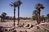 Sphingenallee des Luxor-Tempels die in der Antike ...