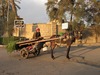 Kairo-übliches Transportmittel   