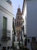 Sevilla Blick zur Kathedrale
