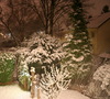 Schnee-Abend, 23.11.08,ohne blitz !!! gute camera ...