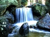 Wasserfall Japanischer Garten in der Rheinaue